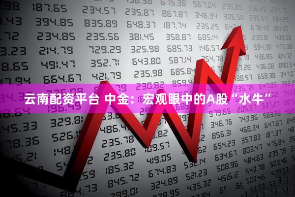 云南配资平台 中金：宏观眼中的A股“水牛”