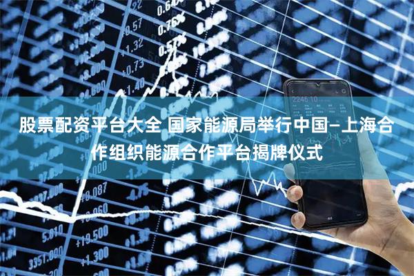 股票配资平台大全 国家能源局举行中国—上海合作组织能源合作平台揭牌仪式